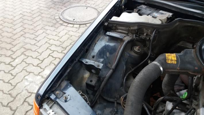 Georg Diekmann Automobile GmbH & Co. KG