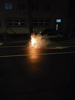 Grüne Werkstatt Wendland