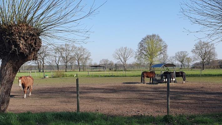 Hapke-KFZ-Meisterbetrieb