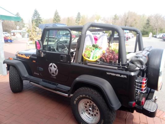 Car Ranch Klaus Depping