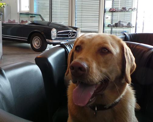 Kfz Meisterbetrieb Auto Ziebart