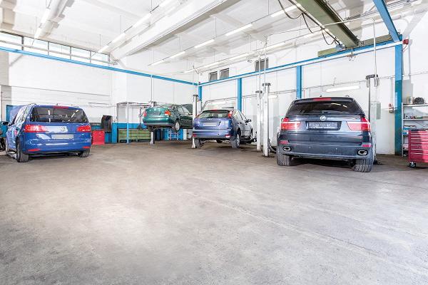 Autofit Pehlivan