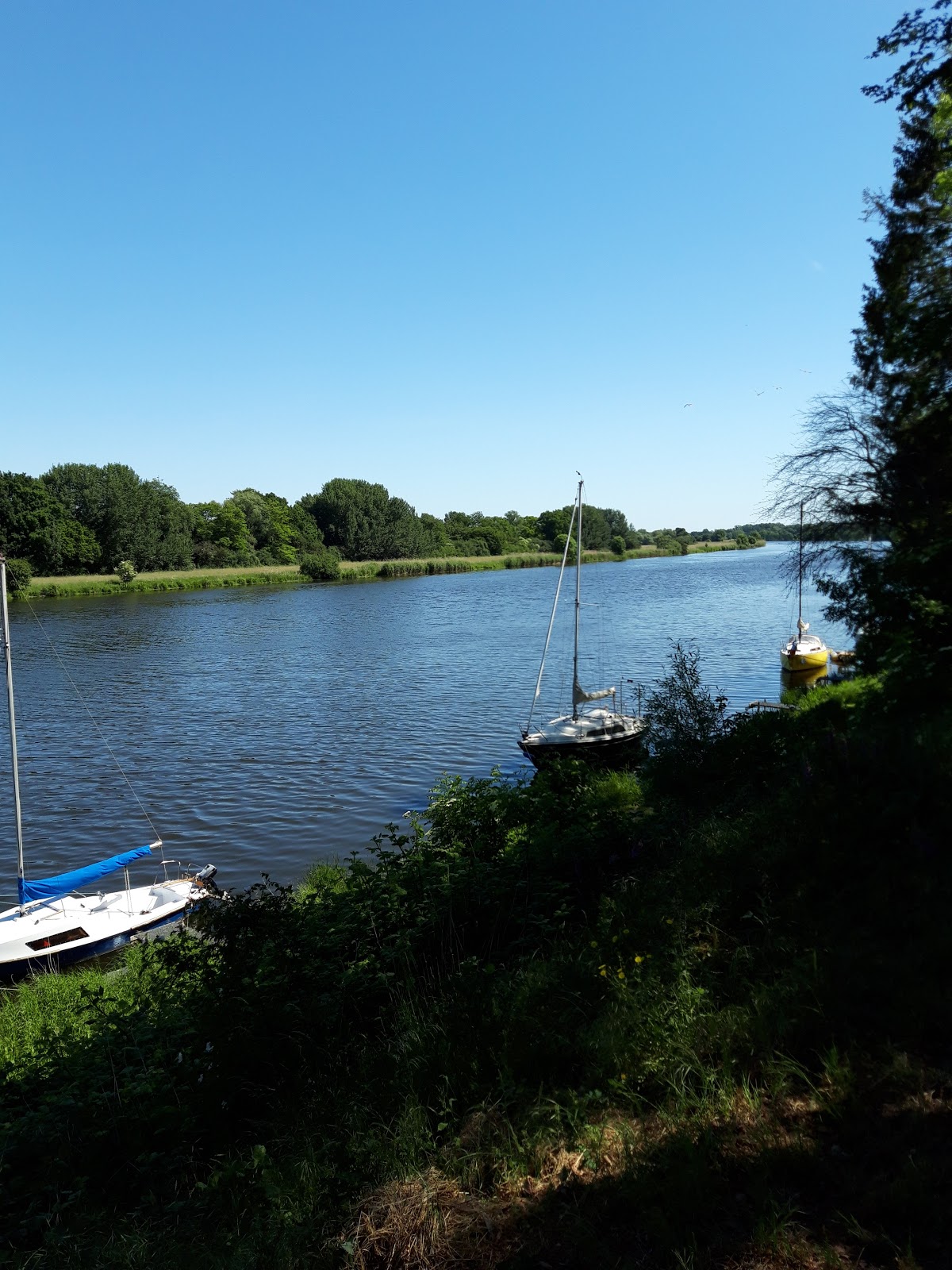 67cd03084555e