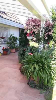 Hanspeter Bössenecker