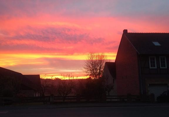 Peter Scheidemann - freie Werkstatt