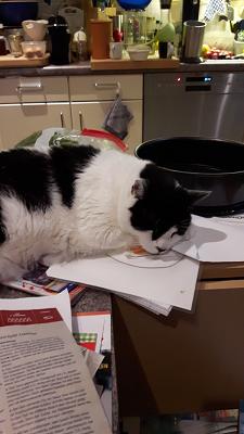 Esbecker Lackiererei GmbH