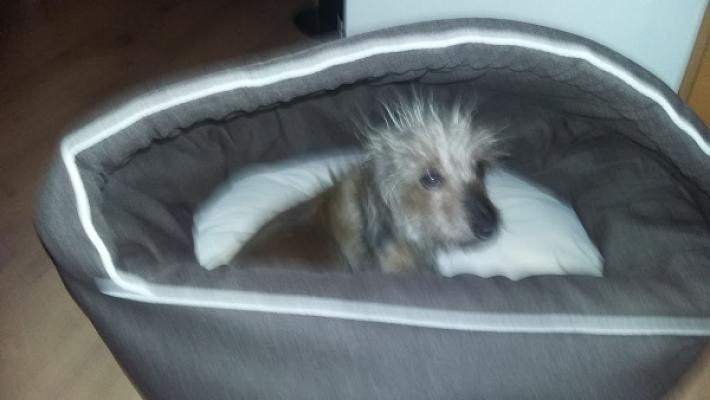 Loock Wärme & Technik GmbH | Rühen