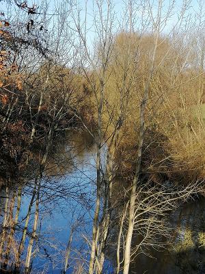 KFZ-Werkstatt Woltermann