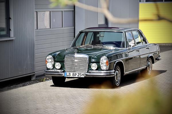 Macheins by Marco Tzortzi Pereira