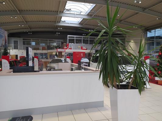 Auto-Koch GmbH & Co.KG