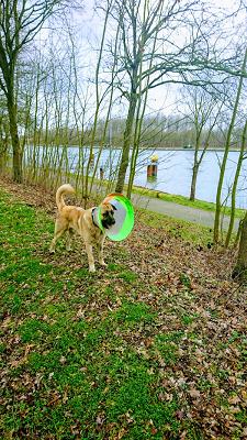 KMW Urbanscok Kfz-Meisterwerkstatt