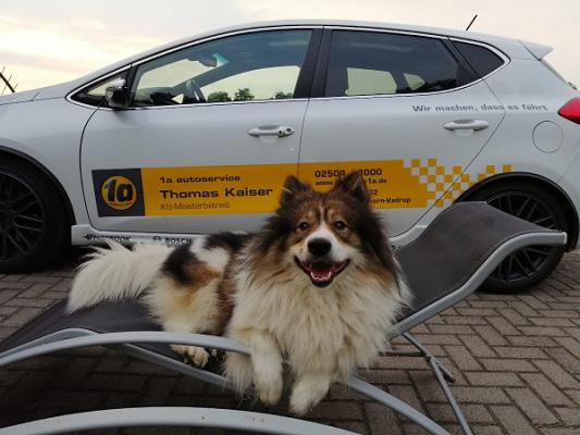 1a autoservice Thomas Kaiser