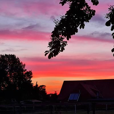 Weiß-Kraftfahrzeuge