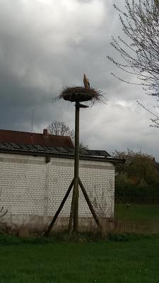 Wolfgang Heinrich KFZ Werkstatt
