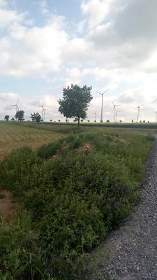 Hans-Peter Driller KFZ-Reparatur und Handel