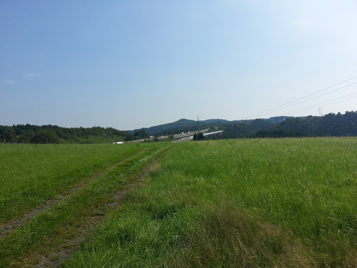 67cdb05940543