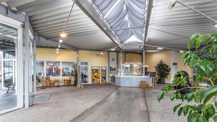 Autohaus Sauer | Kfz-Reparatur aller Marken | Toyota Servicepartner | Hyundai & Kia spezialisiert