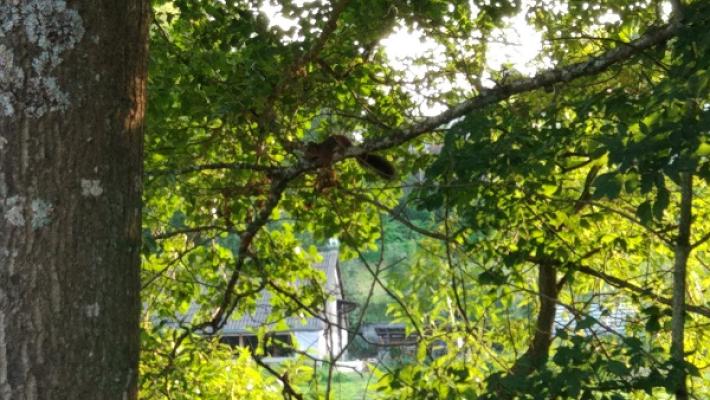 Thomas Kuhn Auto-Werkstatt