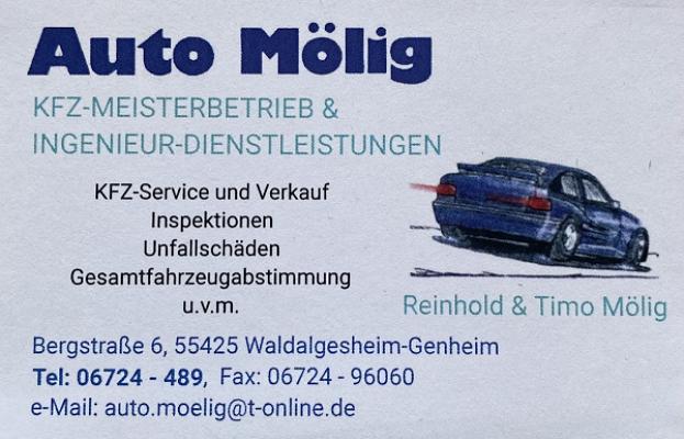 Auto Mölig