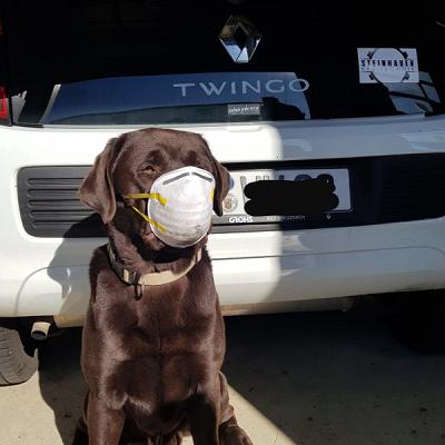 Steinhauer KFZ-Technik