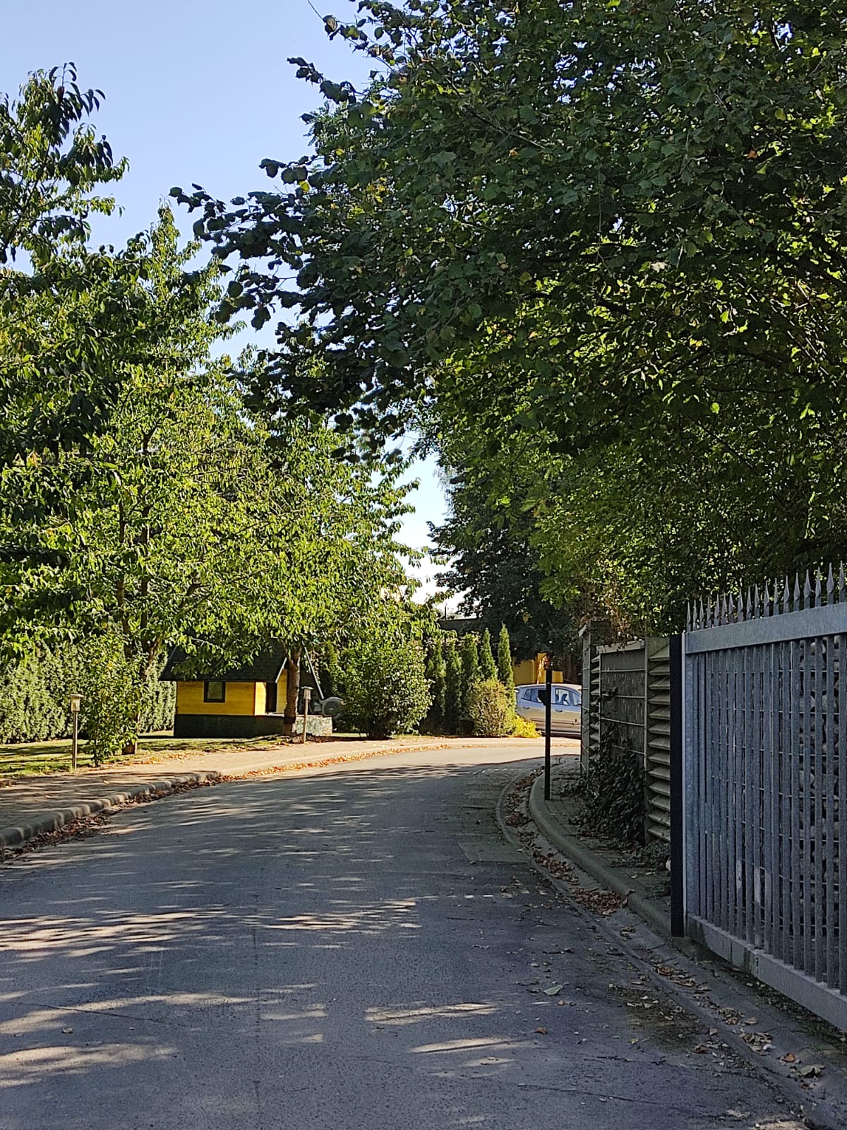 67c8e224397f1