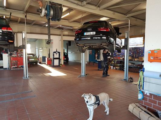 Kfz Meisterwerkstatt Stefan Kunz - Autowerkstatt