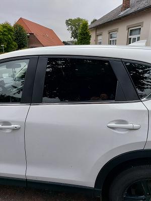 junited AUTOGLAS Wedel (bei Hamburg)