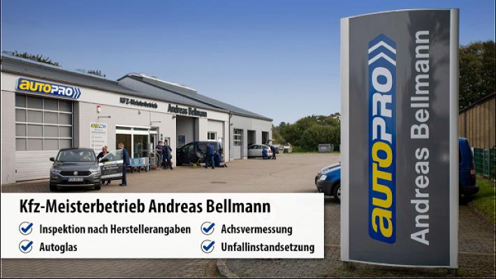 Kfz-Meisterbetrieb Bellmann, Inh. M. Wullbieter