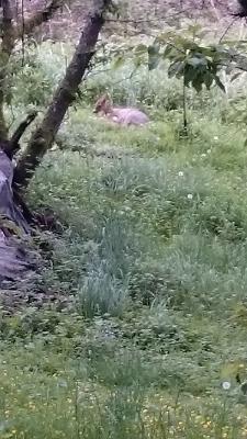 Löffels Car Service