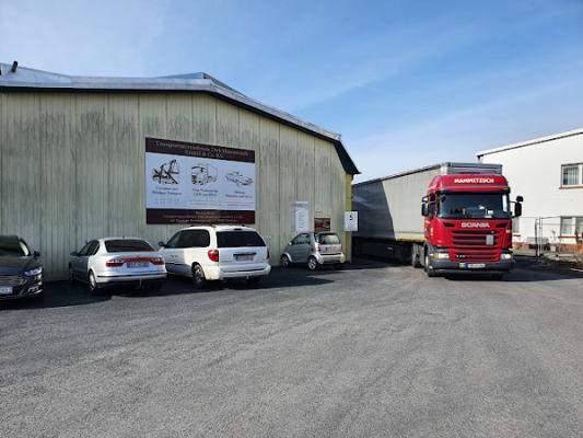LKW-Werkstatt & Transportunternehmen D. Mammitzsch GmbH & Co. KG