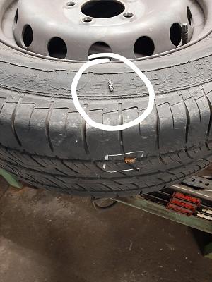 67ce557956e36