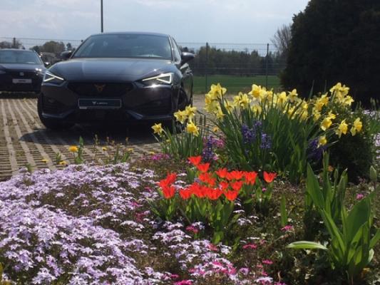 Horst Büchner Automobile GmbH