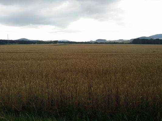 Handke Karosseriebau GmbH