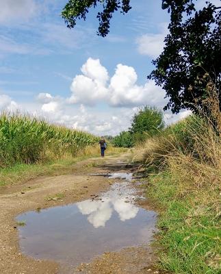 IndiKar Individual Karosseriebau GmbH