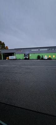 Automotive Interior World GmbH & Co. KG