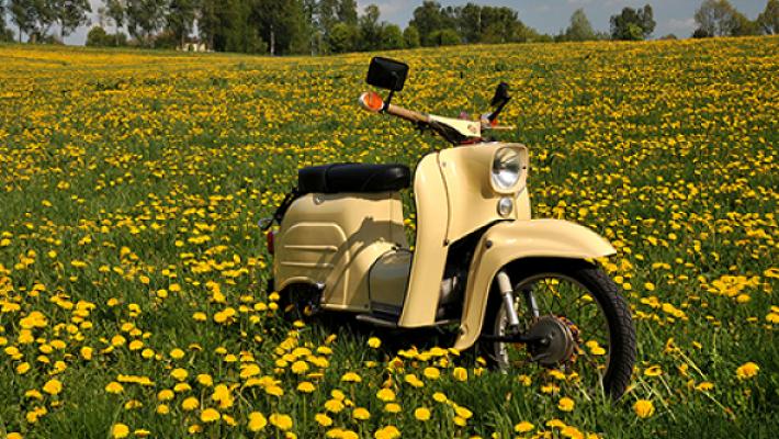 KFZ-Service Meißner