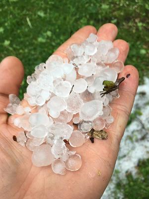 Hand-Made Cars - Chris Uhlig