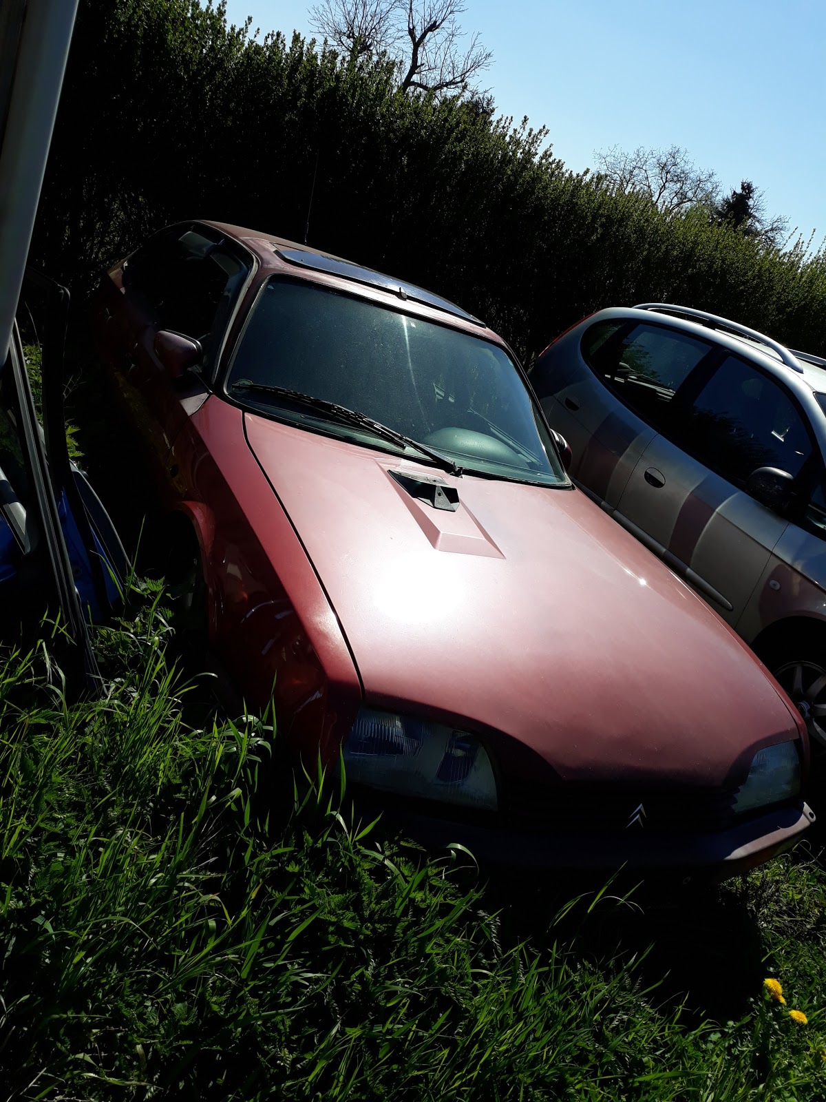67ce691f93fc6