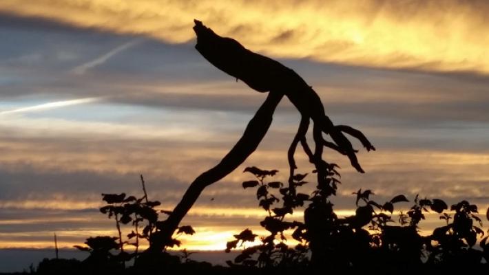 Heiko Queißer KfZ-Service