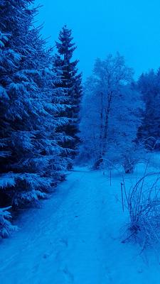 Uwe Wolff Autoservice Wolff