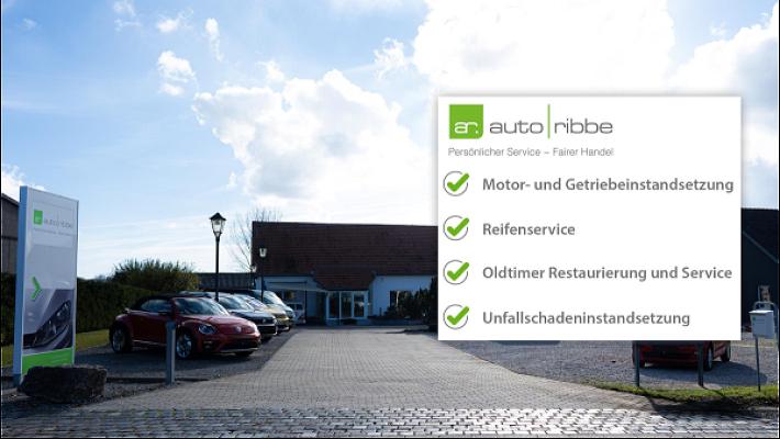 Auto Ribbe