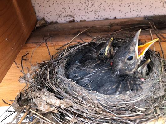 FTM - Faßhauer Meisterbetrieb der KFZ-Innung