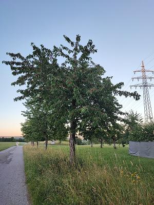 Kopp Karosserie GmbH & Co.