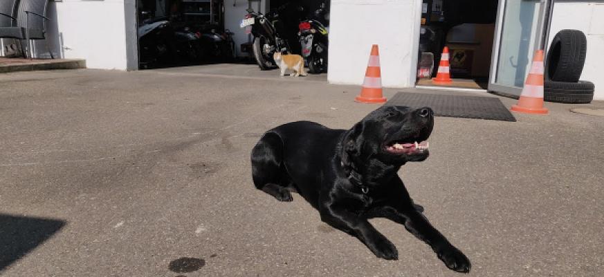 Auto & Motorradcenter Handke