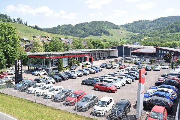 Autohaus Frascoia Kappelrodeck, Mitsubishi, Kia, Ora, Wey,