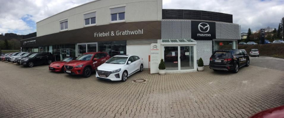 Auto-Zentrum Grathwohl & Friebel GmbH / Auto Galerie Friebel & Grathwohl GmbH