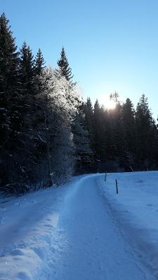 KFZ-Meisterbetrieb Brauner