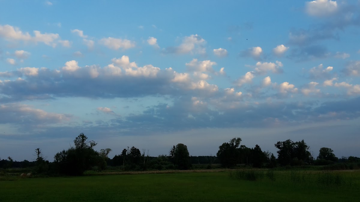 67c907e3ac052