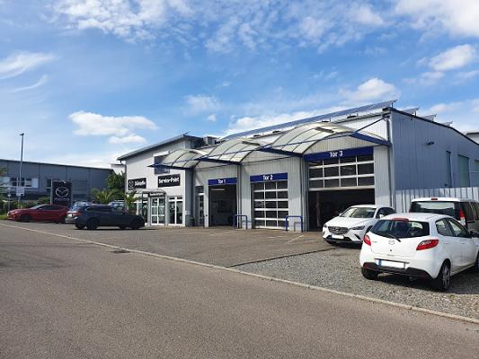 Dämpfle Mazda Service