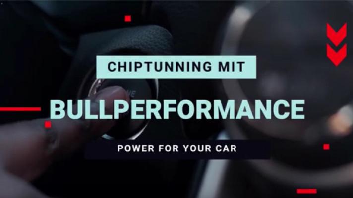 Bullperformance Stumpp